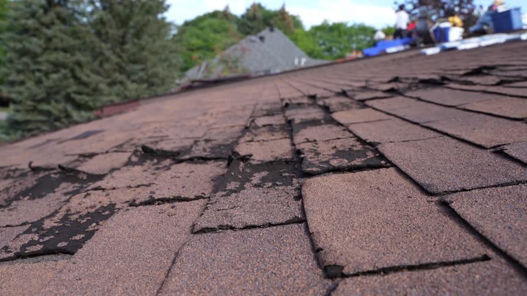 Best Cold Roofs  in Elmira, NY