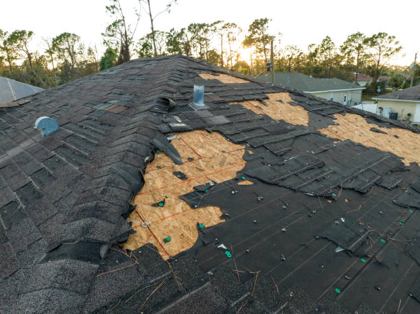 Best Roof Moss and Algae Removal  in Elmira, NY